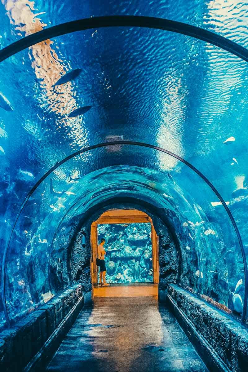 things to do around las vegas things to do around las vegas