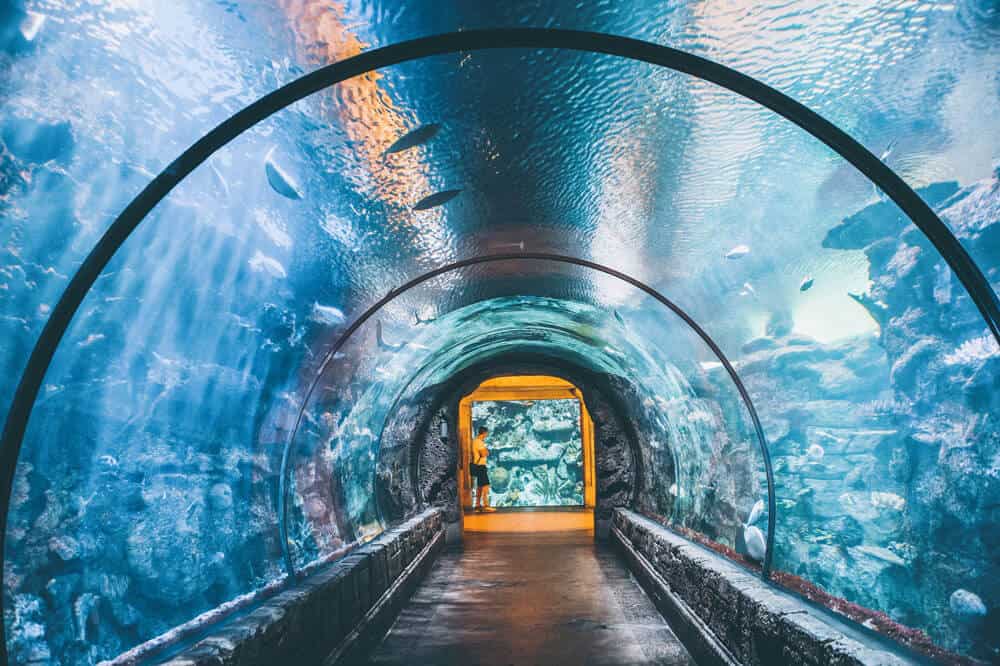 14 Unique Things to do in Las Vegas - Uniquevegasresize 2