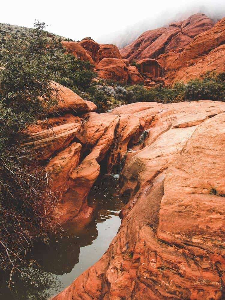 Hiking and Rock Climbing at Red Rock Canyon - Calico Basin Red Springs. 