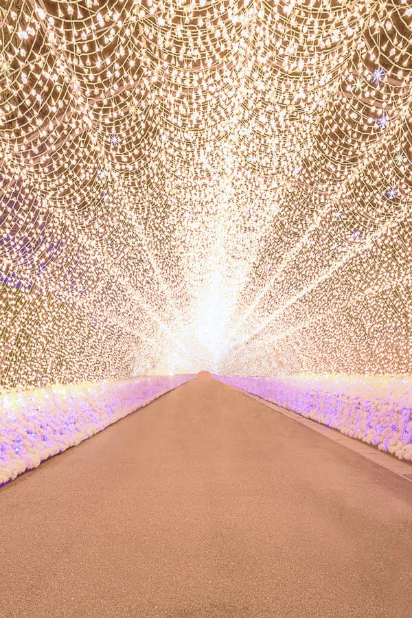 The most beautiful places in Japan! Winter Light Festival is a must see of course! #Japan #avenlylane #travel 