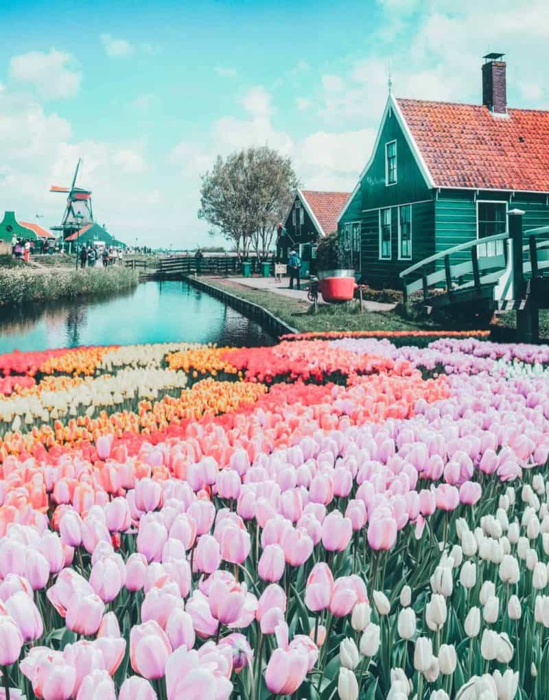 Top things to do in the Netherlands! 