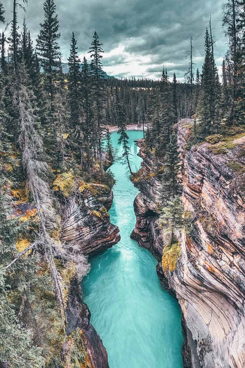 Athabasca Canyon in Jasper National Park, Alberta Canada