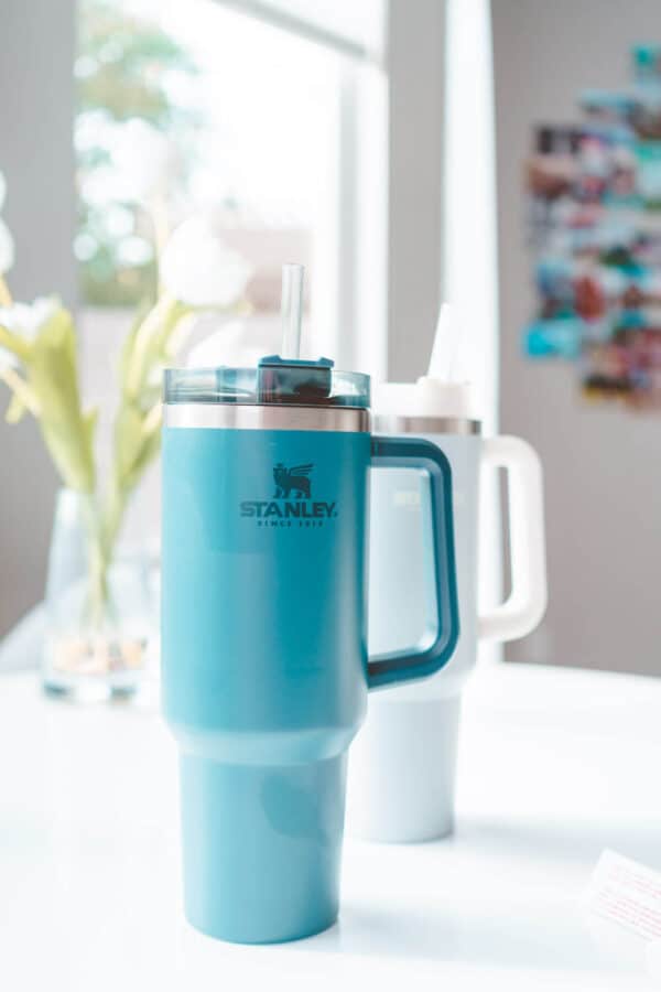 smoothie thermos