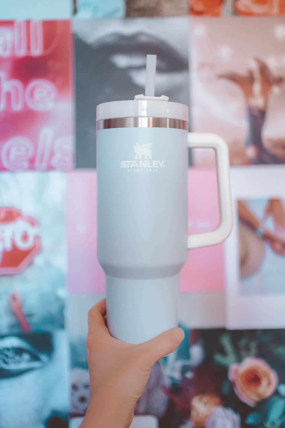 Stanley Thermos - The World's Best Smoothie Cup